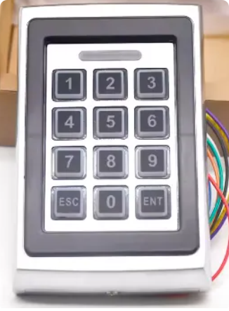 Danh bạ mạch gốc màng